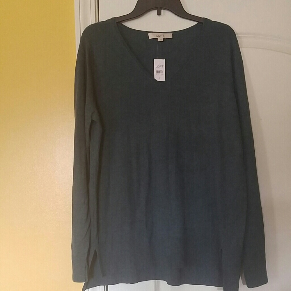 Ann Taylor Loft sweater